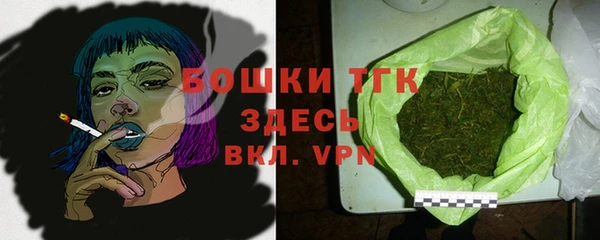 гидра Новозыбков