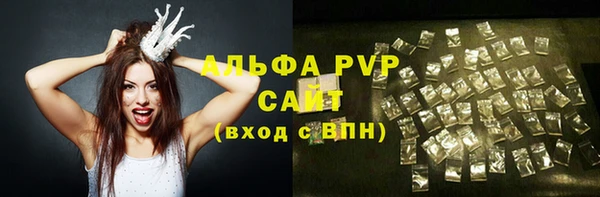 гидра Новозыбков
