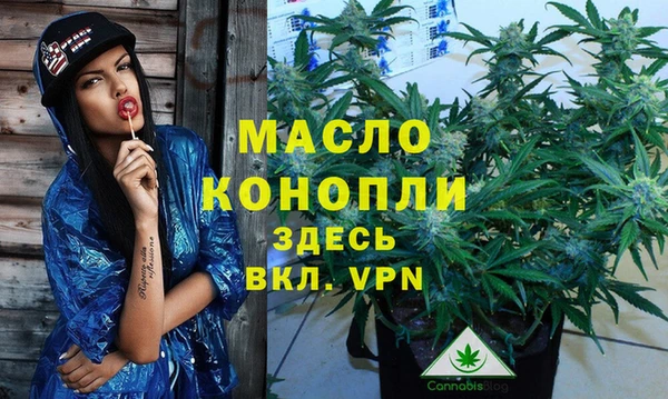 гидра Новозыбков