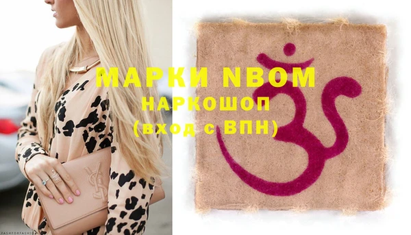 гидра Новозыбков