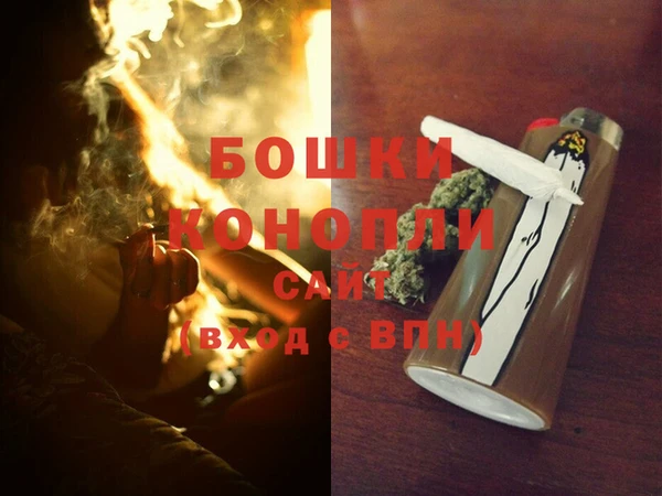 бошки Няндома