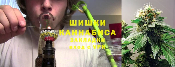 гидра Новозыбков