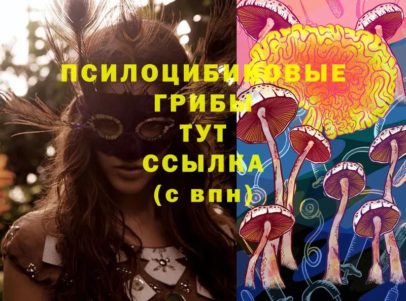 Псилоцибиновые грибы Magic Shrooms  купить  сайты  Бакал 